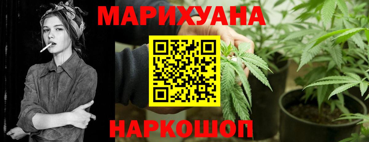 МАРИХУАНА сатива Моршанск